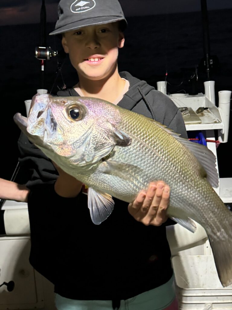 Photo of young kid holding a large 60 cm pearl perch he caught