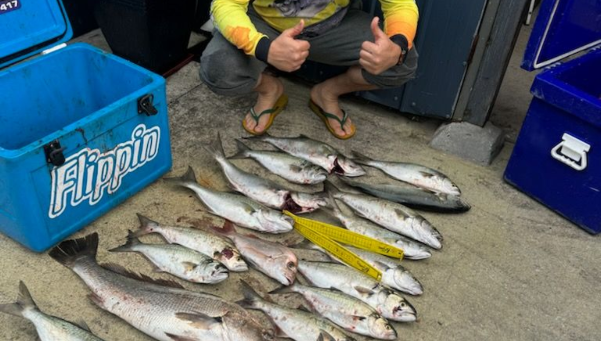 Photo of man posing with caught fish