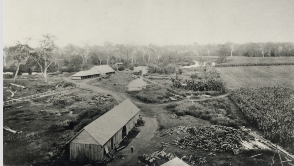 Photo of George Raff's farm on the banks of the Caboolture River, ca. 1873 courtesy of City of Moreton Bay