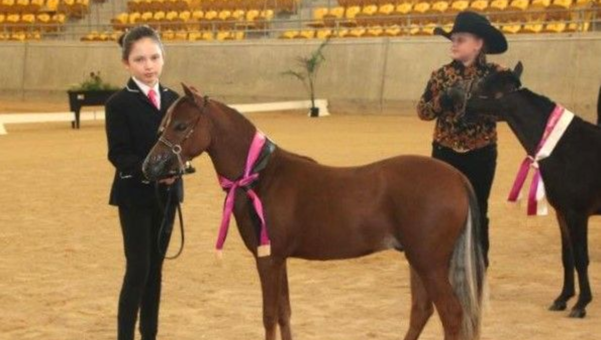 Photo of young kids posing with minature horses